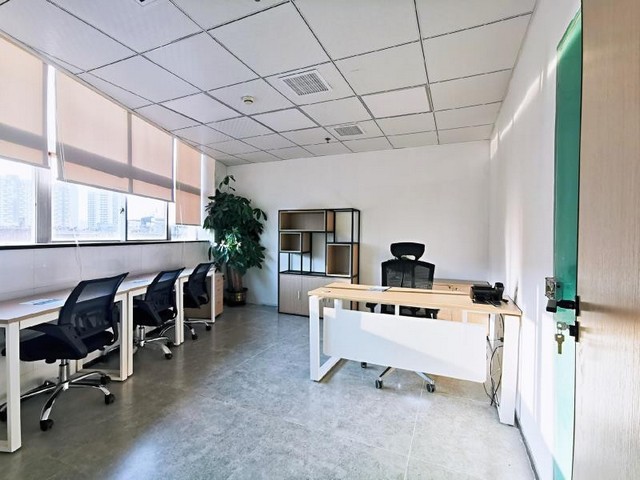 下城区花卉植物租赁方案